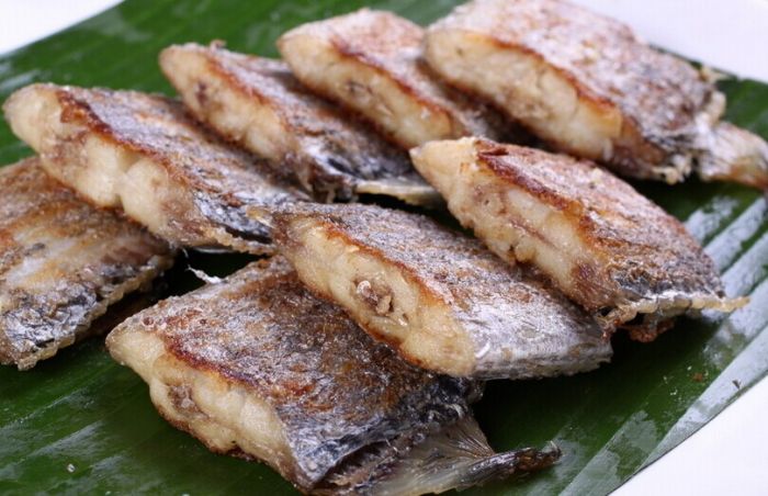 ���~(y��)����ô�� www.osxg.com.cn