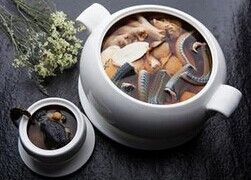 ��đ��ô�� www.osxg.com.cn