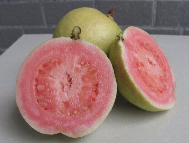 �Ř���ô�ԈD�� www.osxg.com.cn