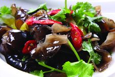 �����ľ�������� www.osxg.com.cn