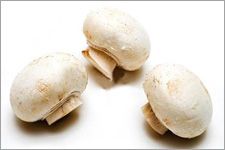 �p��Ģ�������� www.osxg.com.cn