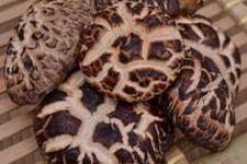 花菇木耳的做法 www.osxg.com.cn