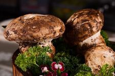 ���׵����� www.osxg.com.cn