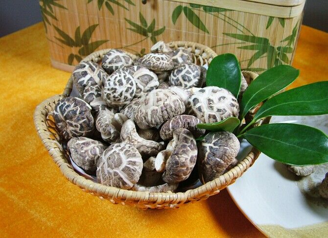 �|������ www.osxg.com.cn