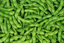 ë�������� www.osxg.com.cn