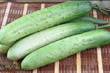 ���S�ϵ�������ȫ www.osxg.com.cn