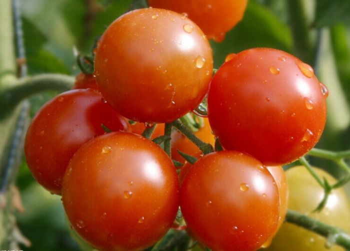 ���t�������� www.osxg.com.cn