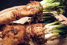 ���������� www.osxg.com.cn