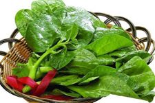 木耳菜 www.osxg.com.cn