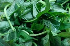 �ع��~������ www.osxg.com.cn