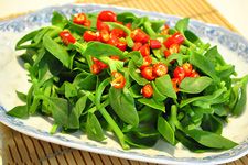 穿心蓮的做法 www.osxg.com.cn