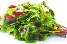 ���{�˵����� www.osxg.com.cn