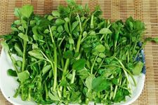 ��ޣ������ www.osxg.com.cn