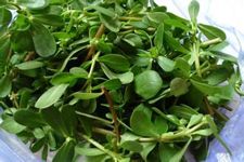 �R��˵Ď׷N�Է� www.osxg.com.cn