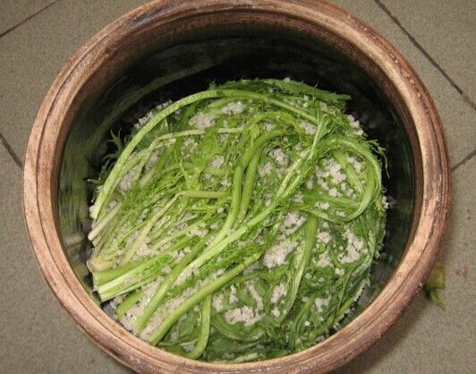 雪里紅的腌制方法 www.osxg.com.cn