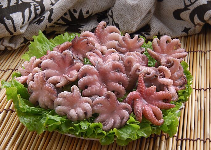 ��צ�~������ www.osxg.com.cn