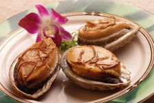 �U�~ www.osxg.com.cn