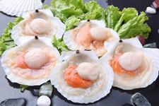 ��ؐ��ôϴ www.osxg.com.cn