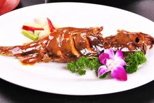 �t�����~ www.osxg.com.cn