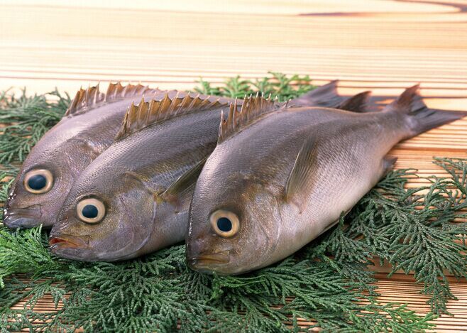 ���~��ô������ www.osxg.com.cn