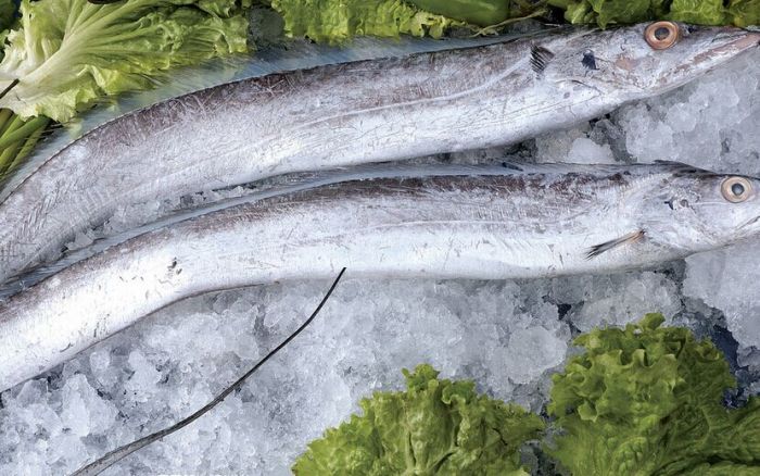 ���~������ www.osxg.com.cn