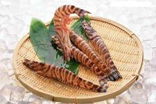 �����r��������ȫ www.osxg.com.cn