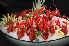 小龍蝦的做法大全 www.osxg.com.cn